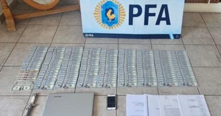 Los detalles de los nuevos allanamientos en la causa Sur Finanzas: millones de pesos y la madre de Ariel Vallejo como principal apuntada