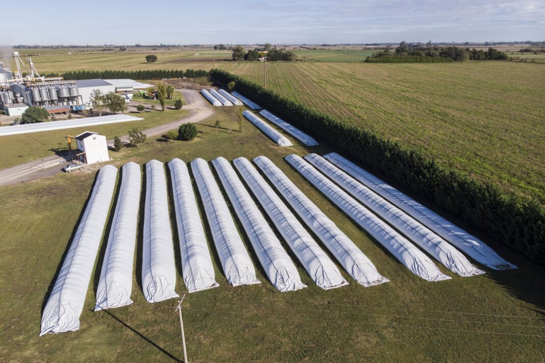 Campo de soja y maíz en Argentina con silos de fondo