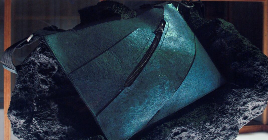 Bolso de lujo creado con cuero cultivado en laboratorio a partir de proteína reconstruida del dinosaurio T-Rex