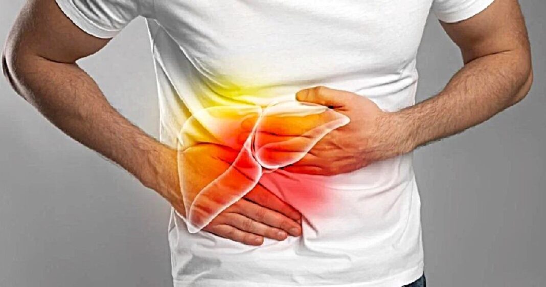 Ilustración médica de un hígado sano y uno afectado por fibrosis, mostrando la diferencia en su estructura.