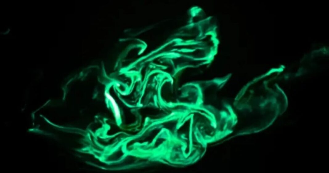 Fotografía de gusanos de fuego bioluminiscentes iluminando el agua marina durante la noche