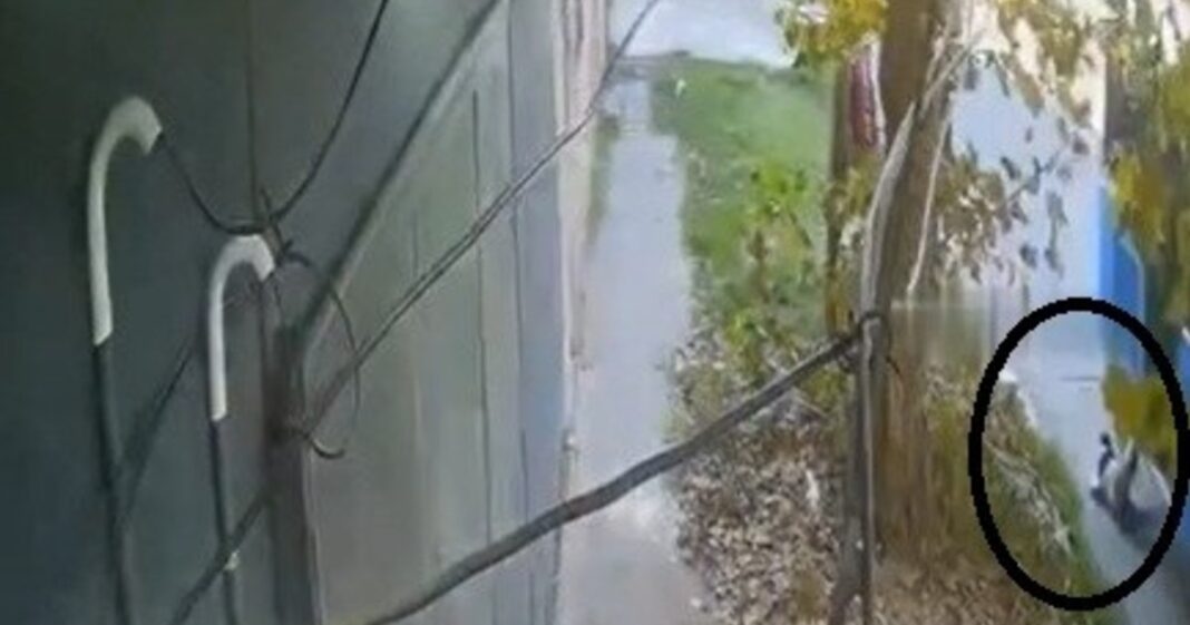 Ilustración de un colectivo urbano en una calle de barrio, representando el lugar del hecho.