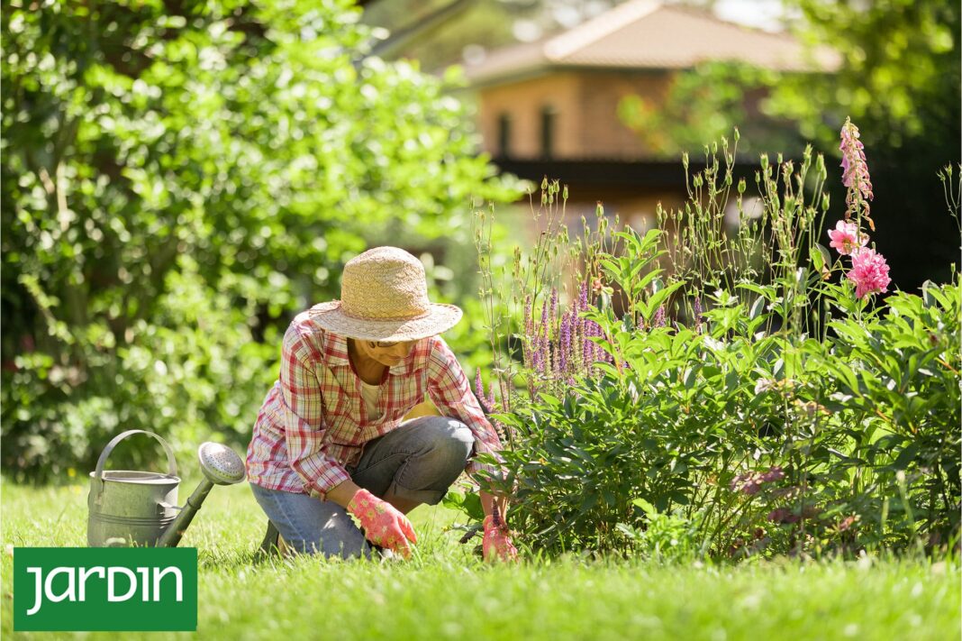 Jardín diseñado con capas de plantas, alturas y colores armoniosos