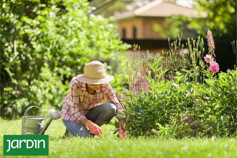 Jardín diseñado con capas de plantas, alturas y colores armoniosos