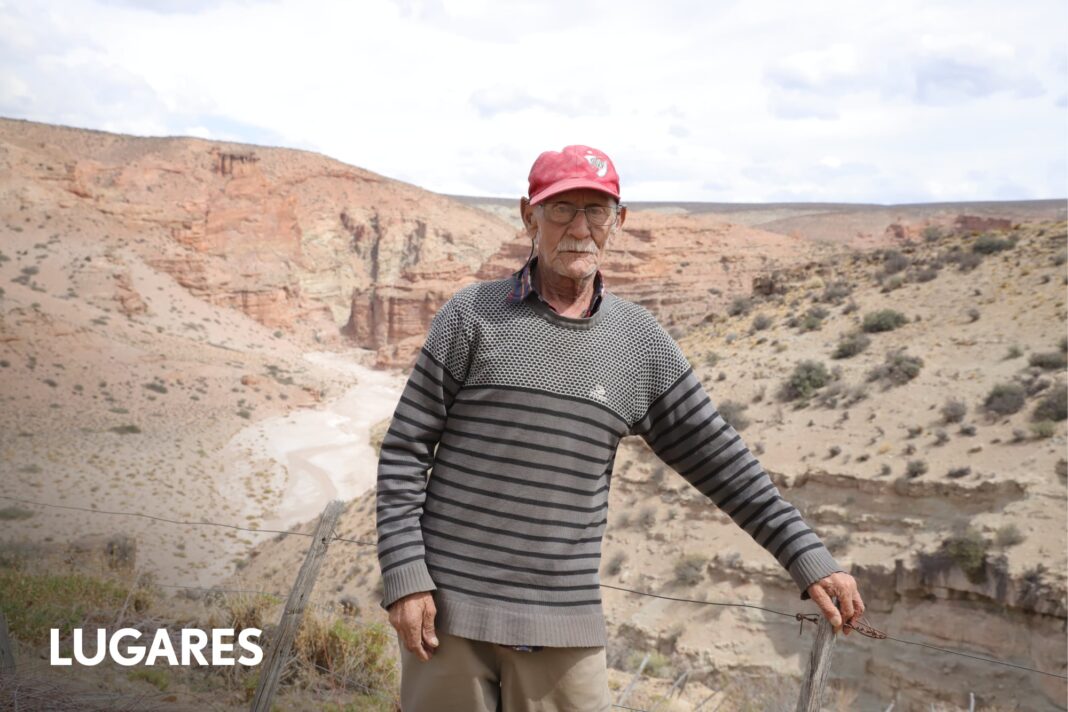 Ilustración del dinosaurio Bicharracosaurus dionidei en la meseta patagónica