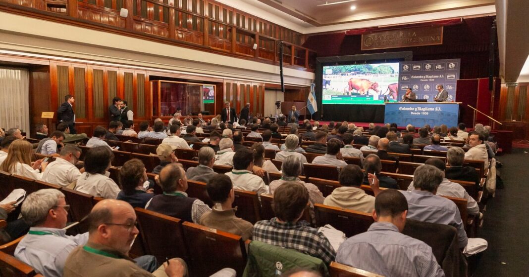 Interior del salón de actos del Banco Nación durante el desarrollo del remate ganadero récord.