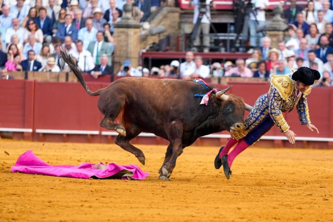 Torero Morante de La Puebla en la plaza de toros de Sevilla