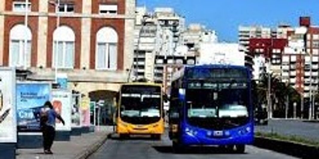 Colectivo urbano en Mar del Plata