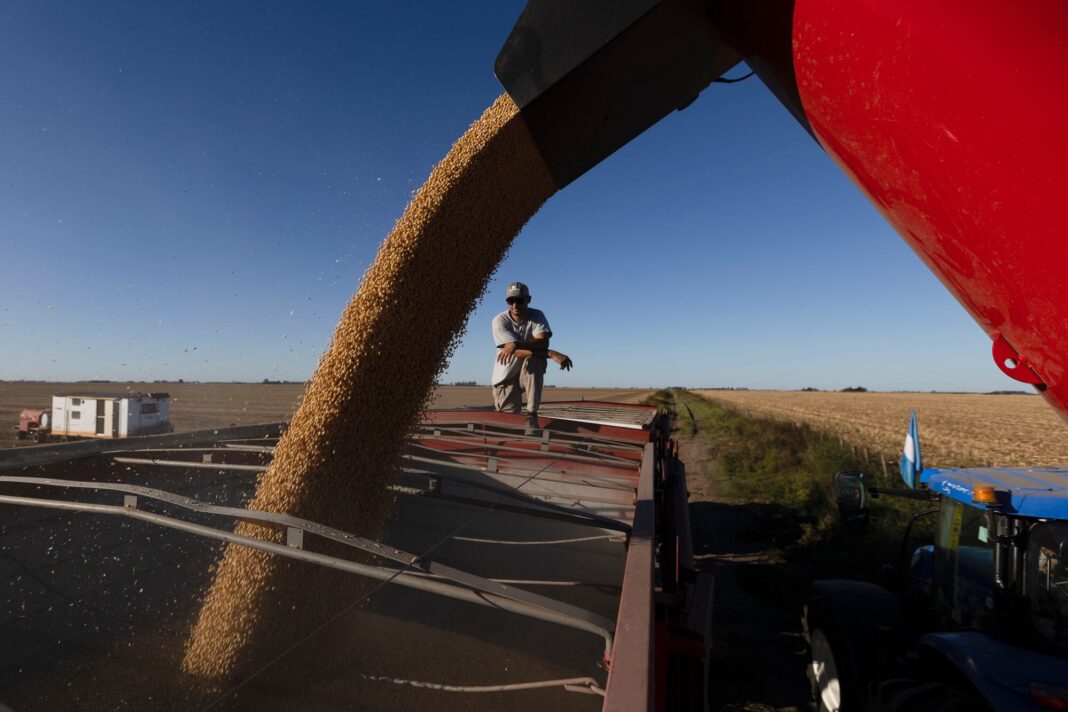 Campo de cultivo con sistema de riego por goteo subterráneo